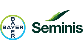 Empresas participantes