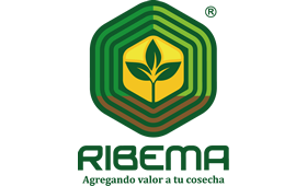 Empresas participantes