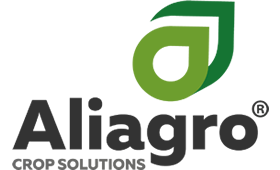 Empresas participantes