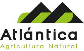 Empresas participantes