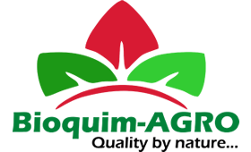 Empresas participantes